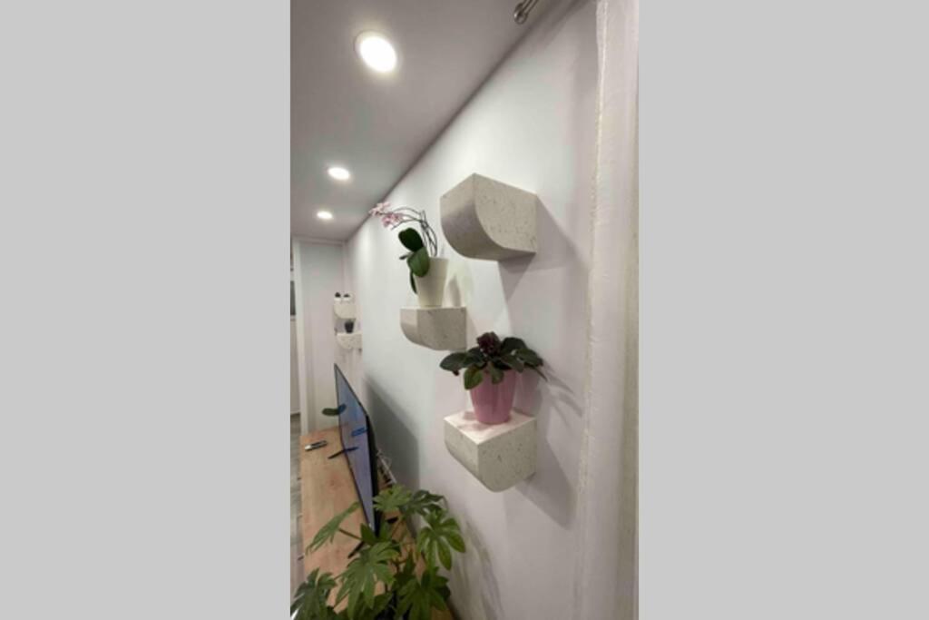 Luxury Apartman Bili Podgora Luaran gambar